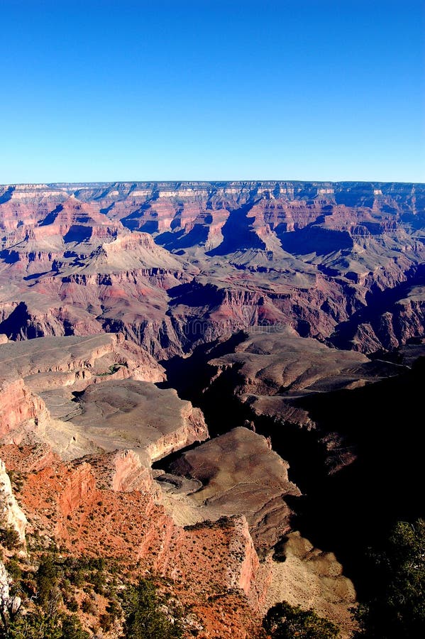 🇺🇲SHaRoNeY🇺🇲 tweet media