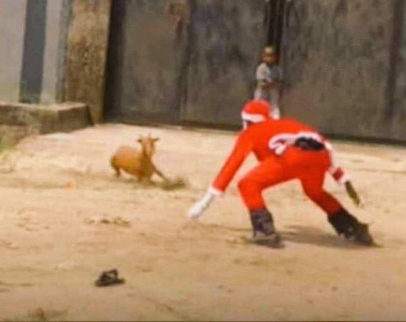 FutureSeeker tweet media