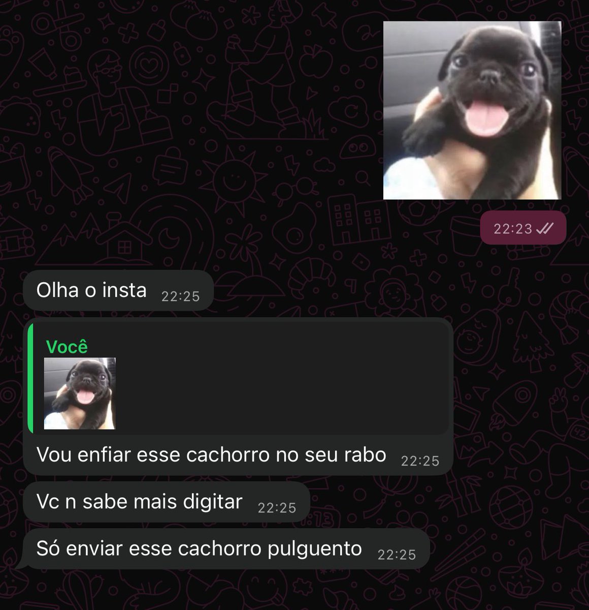 provas que os humanos deveriam ser extintos tweet media