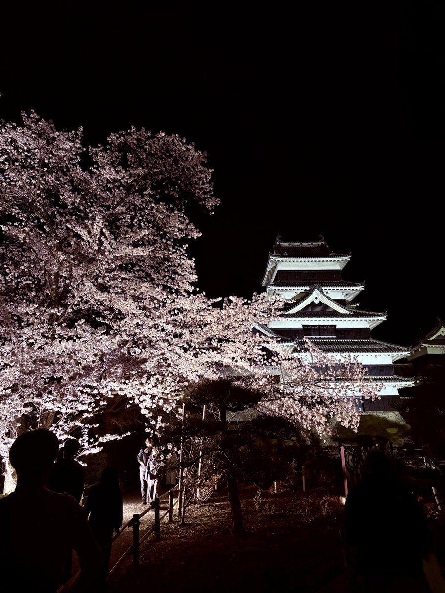 るる🌺🏝 tweet media