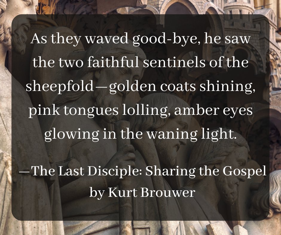 Cover Lover Book Review tweet media