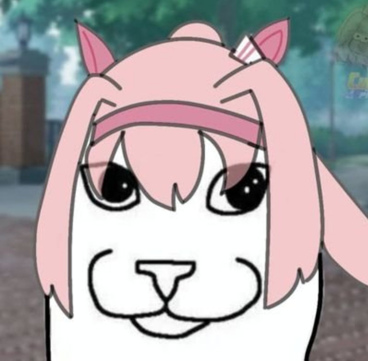 Sinko peso tweet media