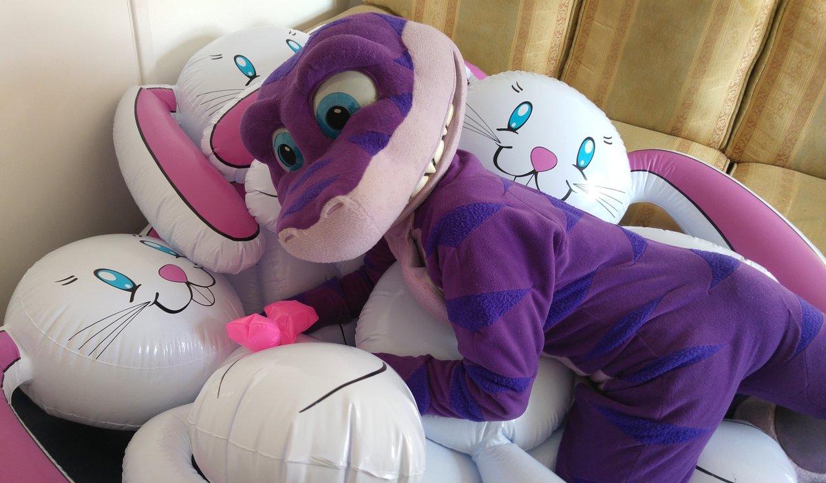 SM the Shark tweet media