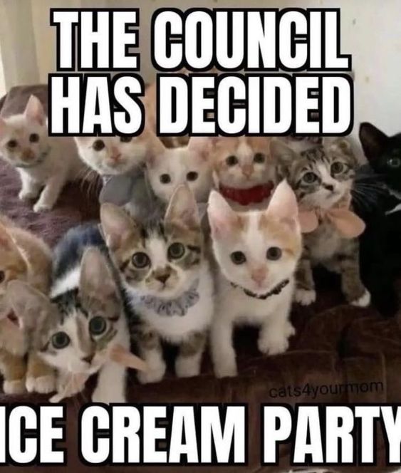 Kitanextopp tweet media