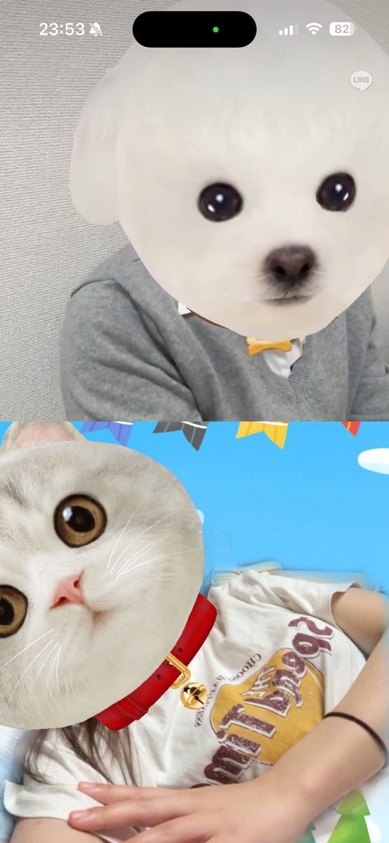 やまだ 池a! 4/4.5 tweet media