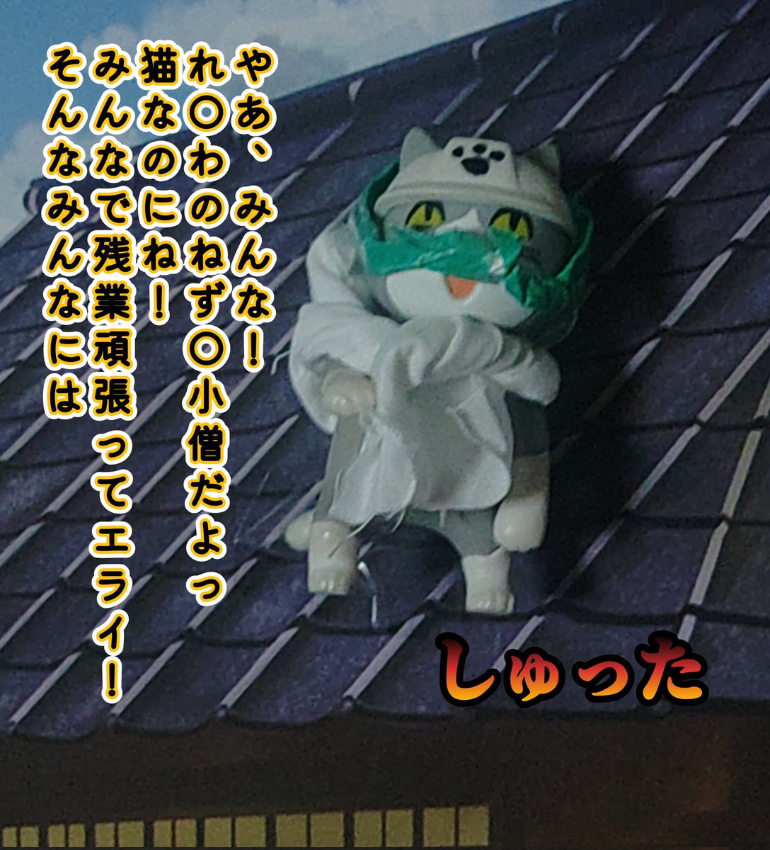 ももももんが🍑 tweet media