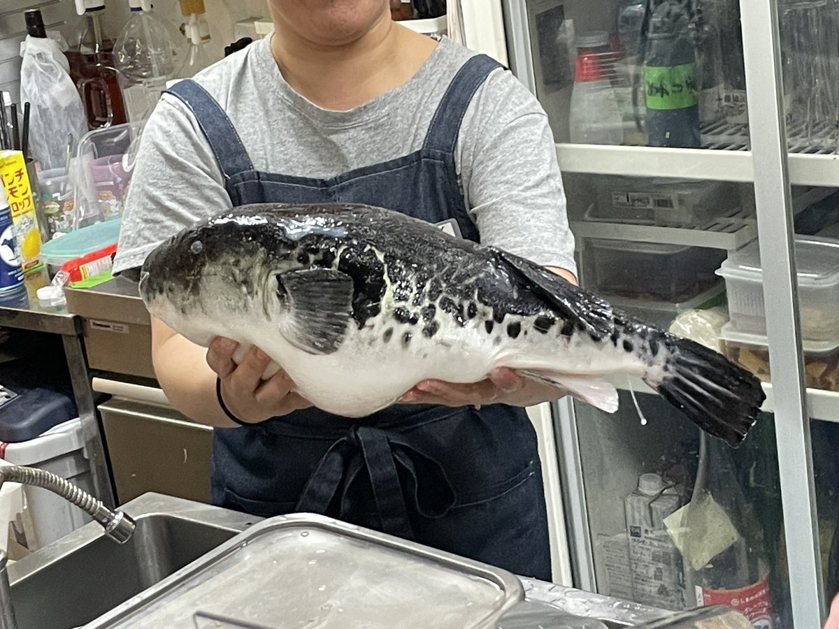 朝倉康心/ASAPIN🐴 tweet media