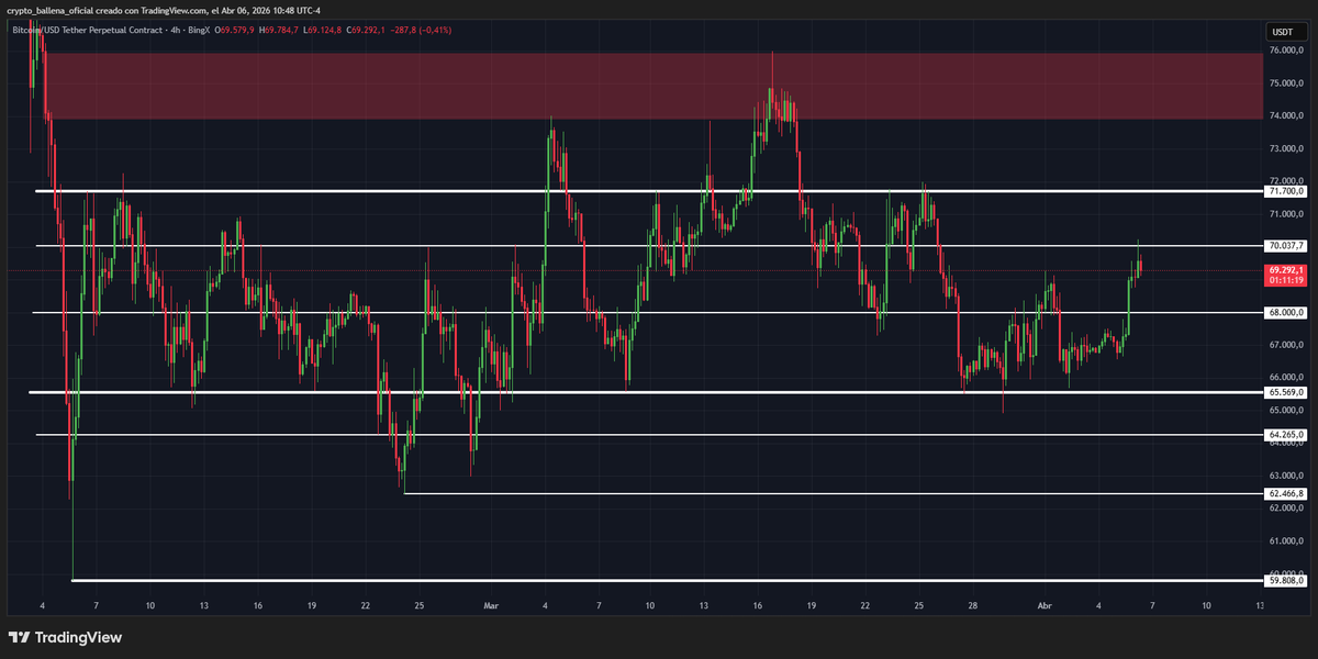 Crypto Ballena🐋 tweet media