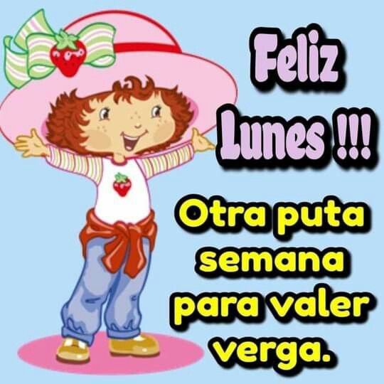 Gabs🐹☆:Dual:☆🪽 tweet media