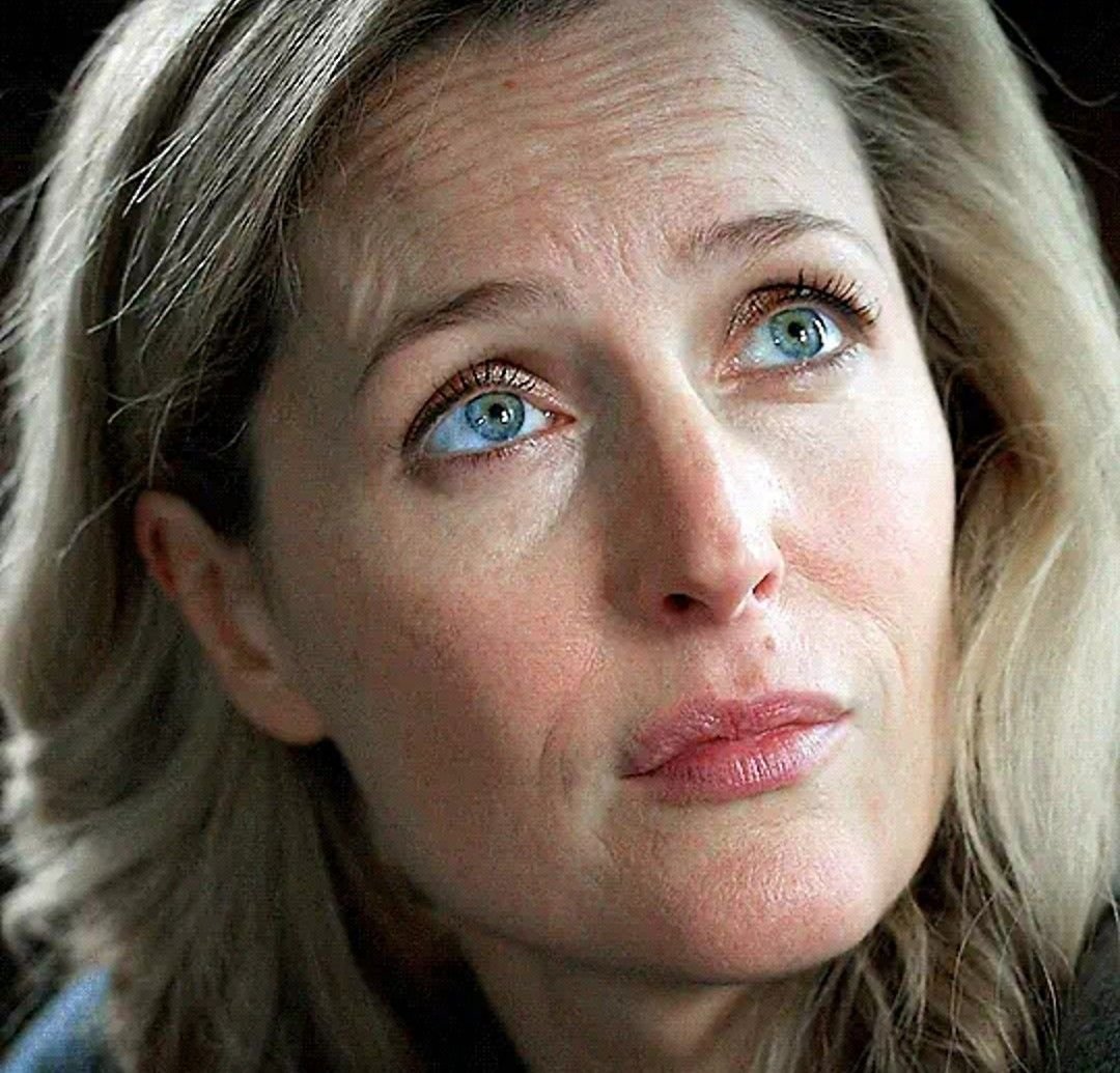 𝔾𝕚𝕝𝕝𝕪 𝔾𝕣𝕖𝕪𝕤 tweet media