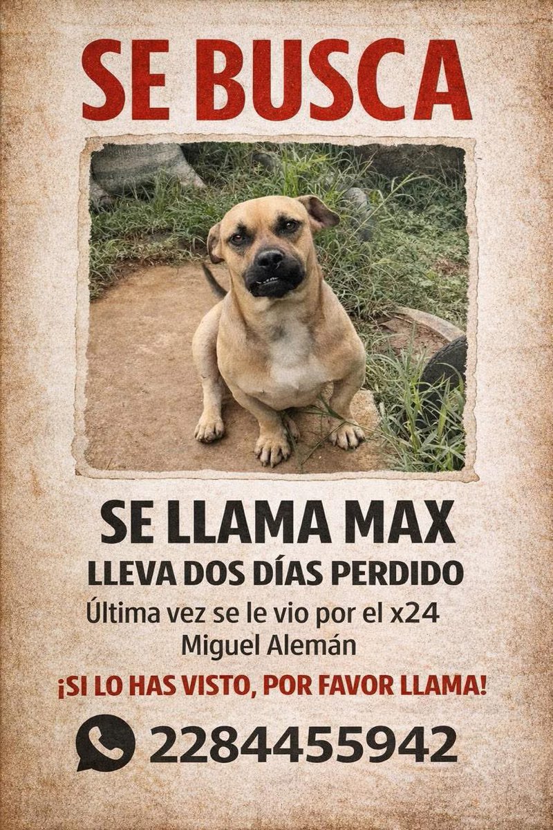 #Xalapa BUSCAN A MAX🐶! 
<a href="/mageba04/">Gina alarcon</a> <a href="/Corintiacruz/">Corintia Cruz Oregón</a> <a href="/VialidadXalapa/">Vialidad Xalapa 🚦 VX 🌎</a> <a href="/AbelMucino/">Abel Muciño</a> <a href="/tierraverde1943/">ℓια ₊˚.༄ *ﾟ🌱</a> <a href="/pilykuera/">Pily Peregrina</a> <a href="/CECILLIA36/">CECILIA MENDEZ</a> <a href="/sara_juarez/">saraliz</a> <a href="/Ydlan/">Naldy Patricia</a> <a href="/fherciencias/">Soy Fher!</a> <a href="/camellinlove/">Porque soy xalapeño</a> <a href="/ArrezEdda/">Edda Arrez</a> <a href="/RoxanaAAT/">Feto de PicaFresa🍓</a> <a href="/penelopemoncayo/">Penélope Moncayo.</a> <a href="/Pechmed/">Peter Tweet</a> <a href="/mayteponm/">Mayte P.</a> <a href="/gabyhvictoria/">gabriela hernandez v</a> <a href="/JavierLandaMx/">JL | Javier Landa</a> <a href="/Zapatito_Azul/">Yuria Eldia Reyes</a>