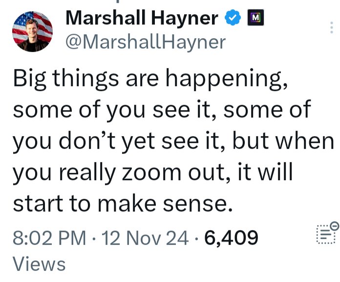 🦉🐝 tweet media