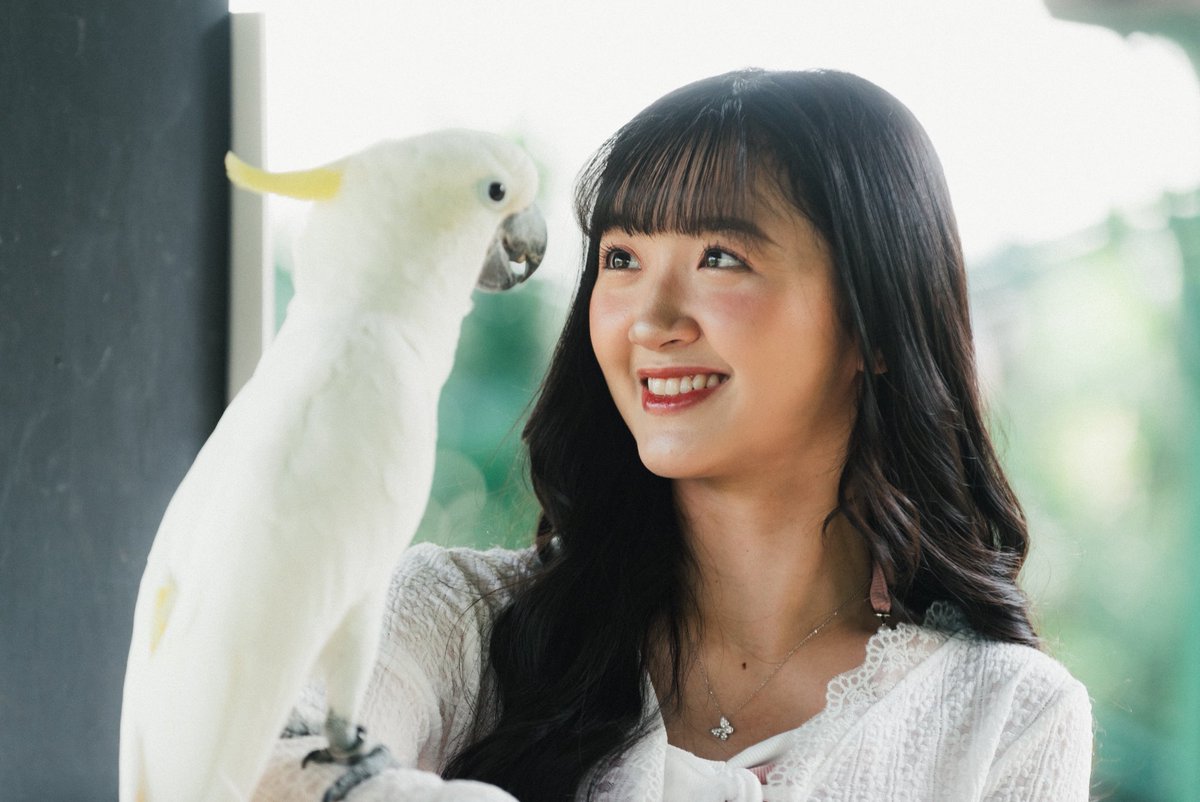 Aurellia tweet media