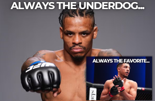 Finz Chats MMA tweet media