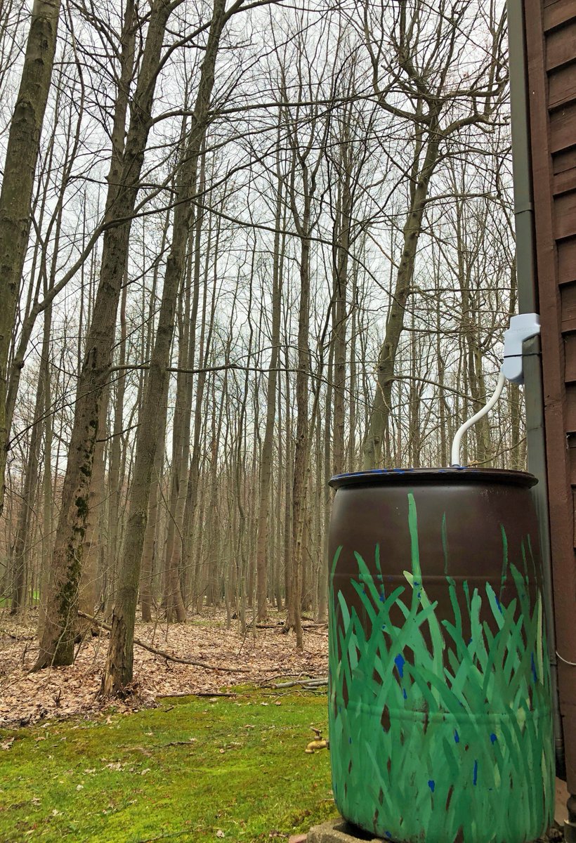 Ever thought of installing a rain barrel? Connected to a downspout on your house, a rain barrel would save your rain water for a sunny day to water your garden and plants. It will help keep stormwater on your property and prevent stormwater runoff.