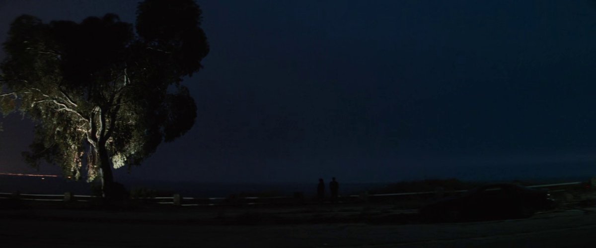 the cinema fella tweet media