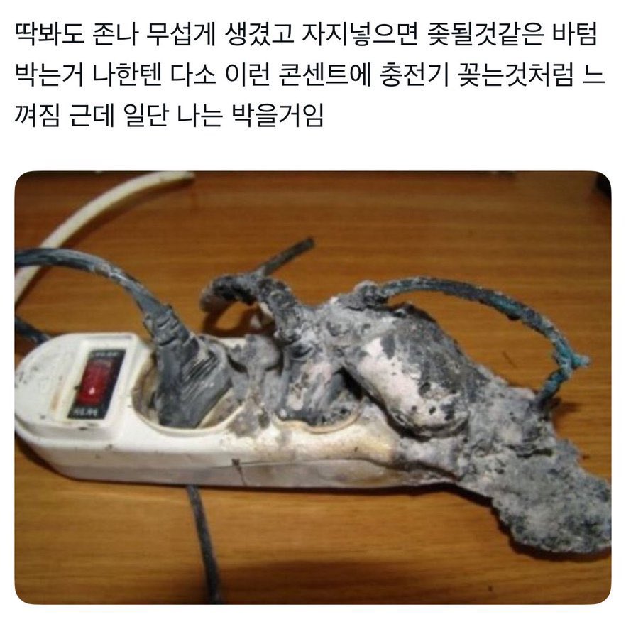 전투형폭렬요정 tweet media