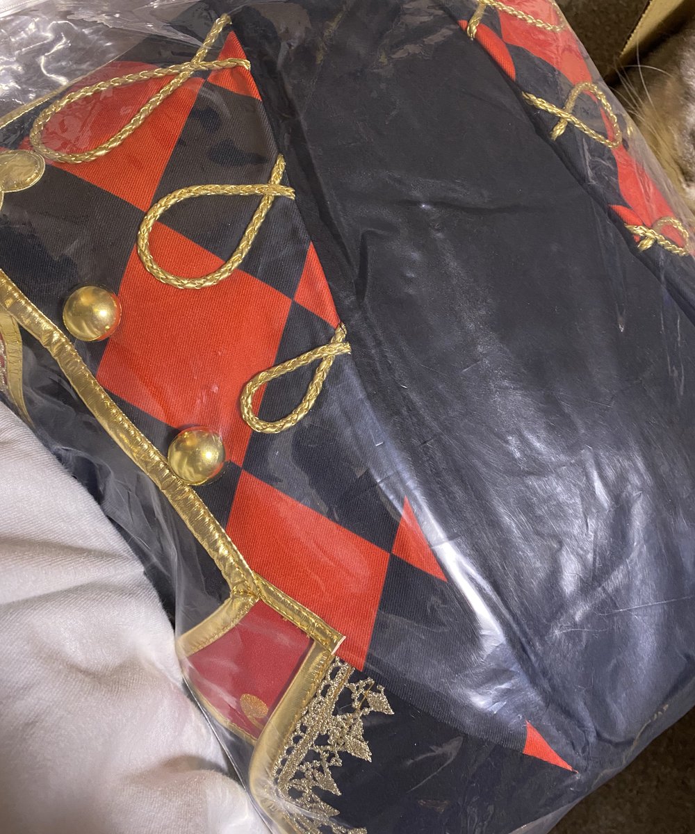 あめた みあ🌷5/5ﾌﾞﾘﾃﾞ東3ほ37a tweet media