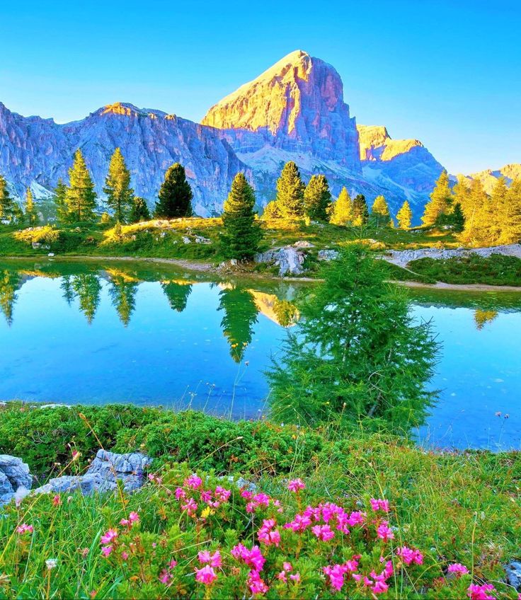 منصف علی tweet media