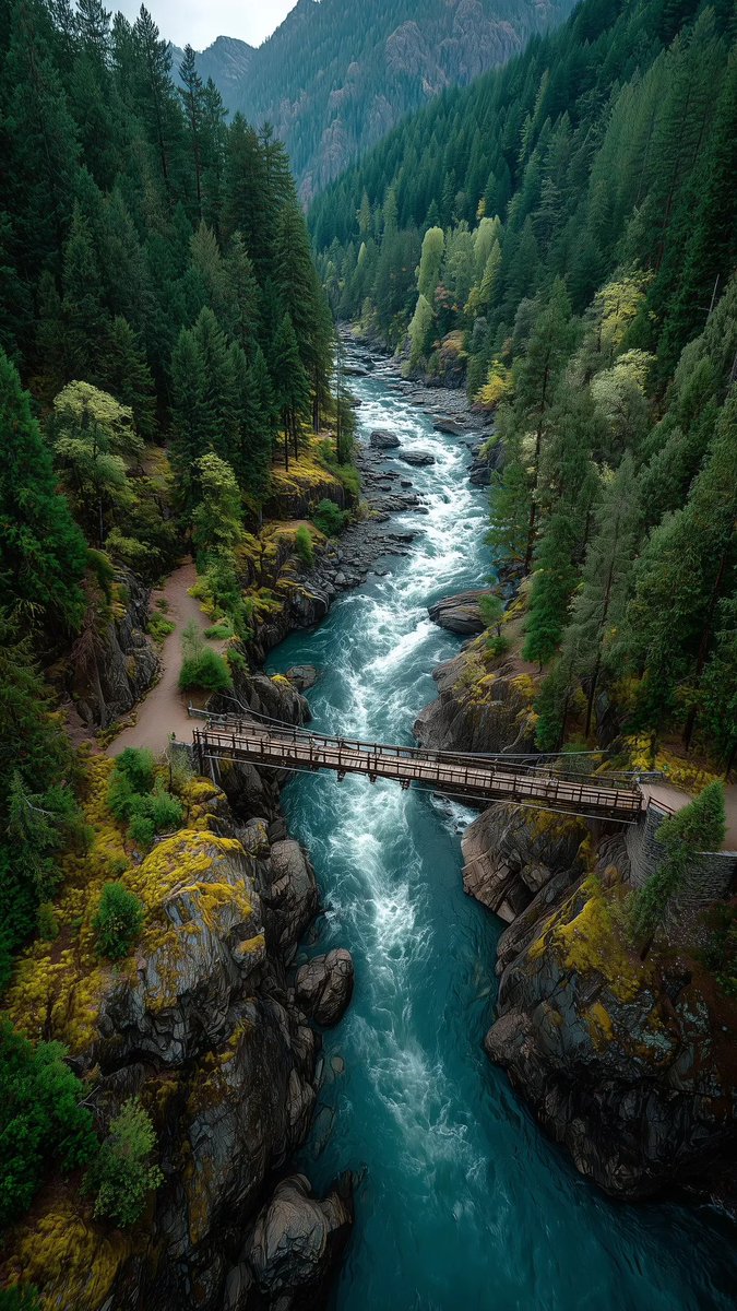 4K nature wallpaper