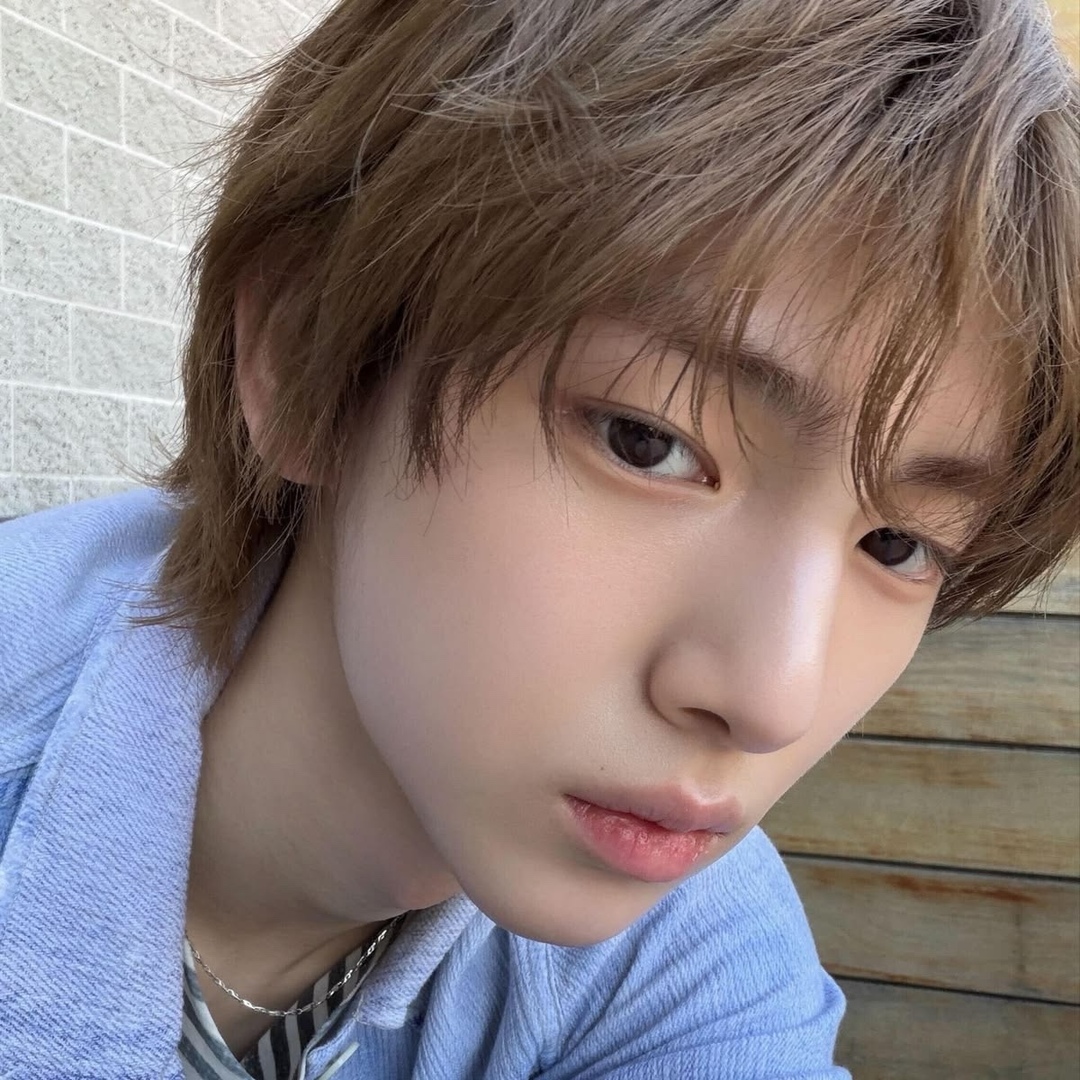 Woodsy Corner. tweet media