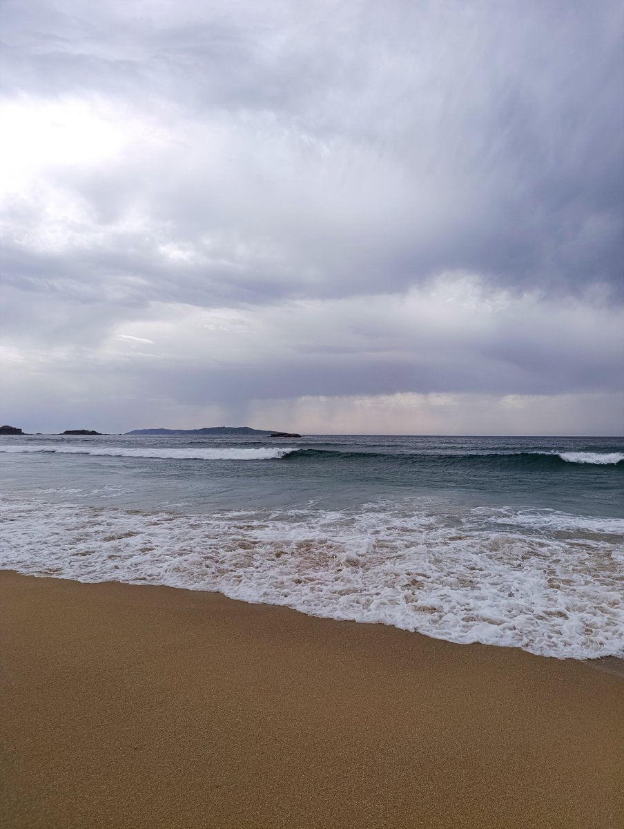 O Davinha 🍍 tweet media