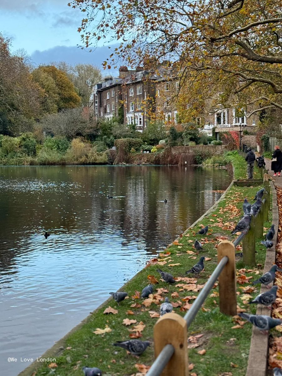 Natursee's tweet image. Hampstead Heath, London England 🏴󠁧󠁢󠁥󠁮󠁧󠁿