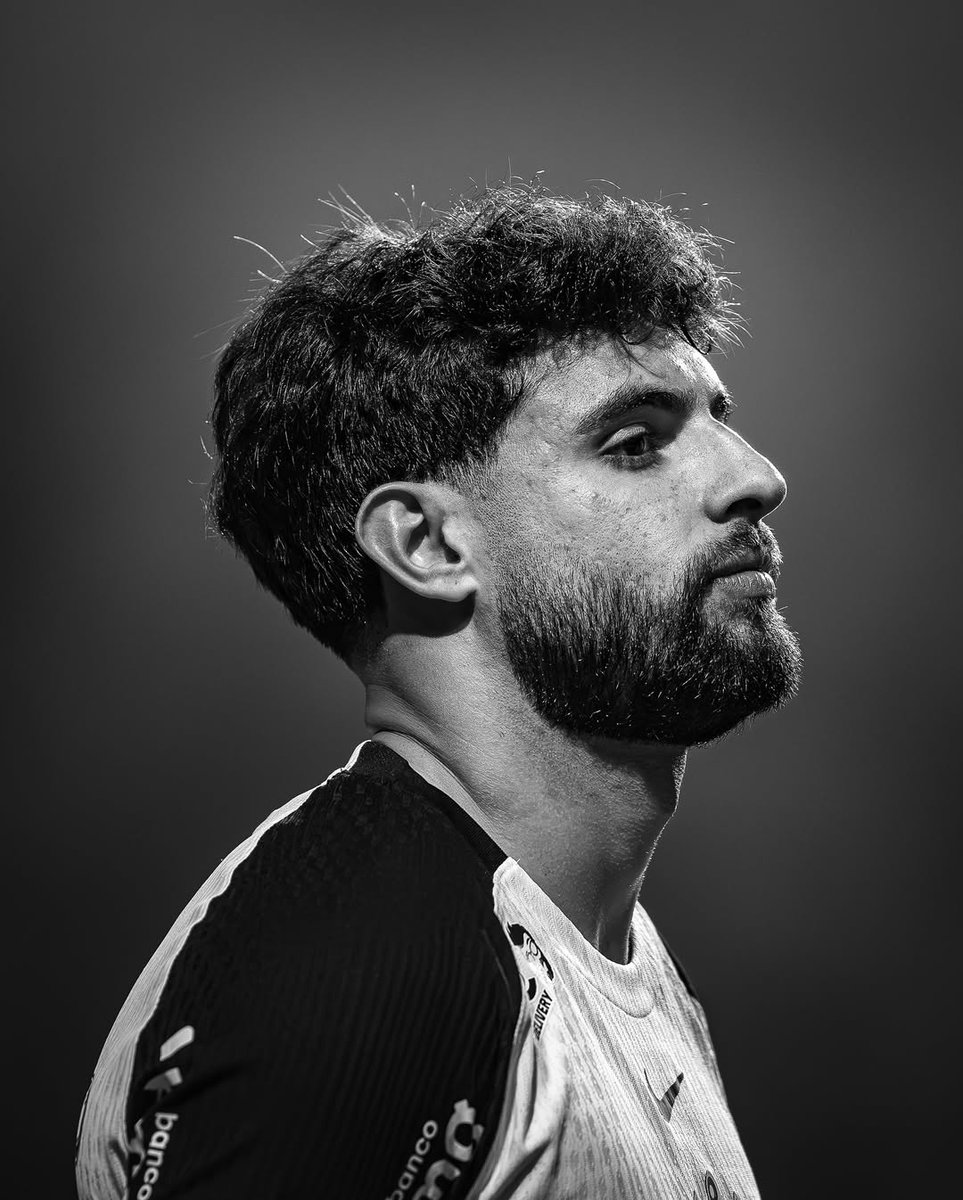 rodriguesˢᶜᶜᵖ tweet media