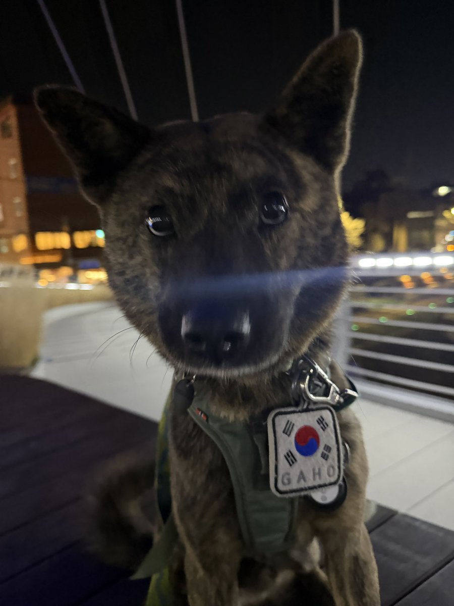 가호누나 tweet media