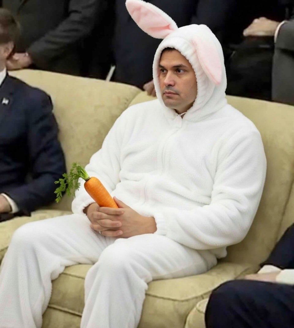 RavenHaven tweet media