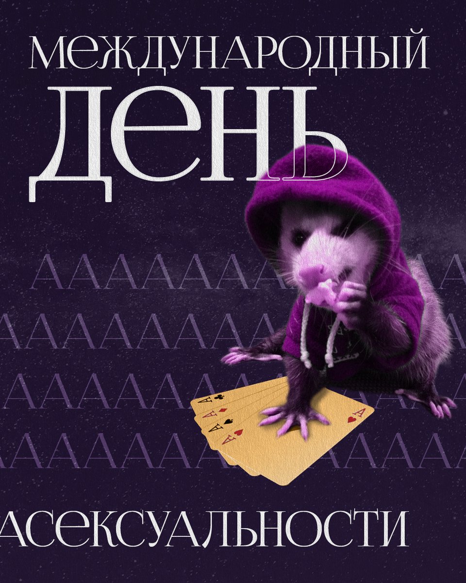 Квирь tweet media