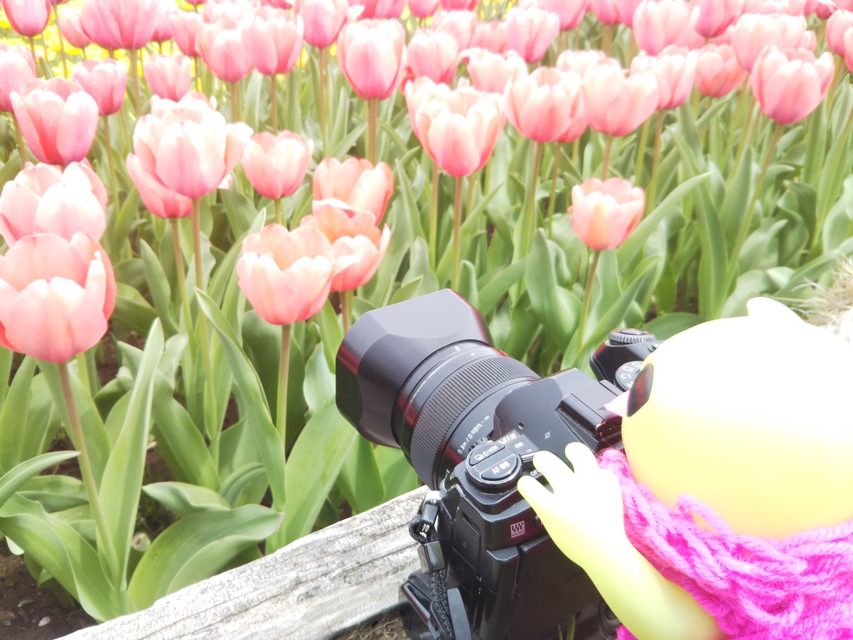 MusicLabo写真部 tweet media