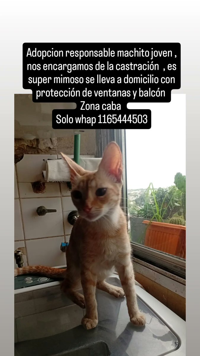 Laly 🇦🇷 tweet media