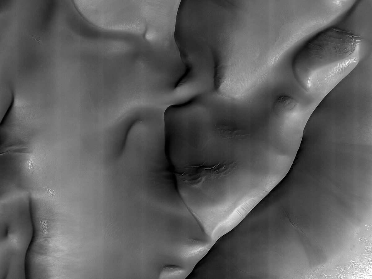 HiRISE's tweet image. HiPOD: The Ripples of the Dunes

This observation overlaps with another image we acquired in 2009. We want to learn how the ripples have moved since then. Have they erased the newly-formed gullies? 

uahirise.org/hipod/ESP_0768…
NASA/JPL-Caltech/University of Arizona
#Mars #NASA
