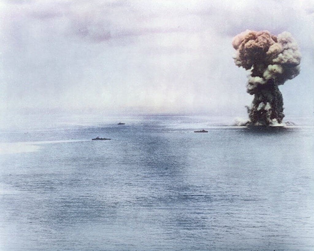 むぎねこ提督 tweet media