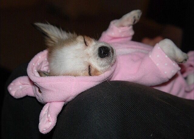 soongsoong tweet media