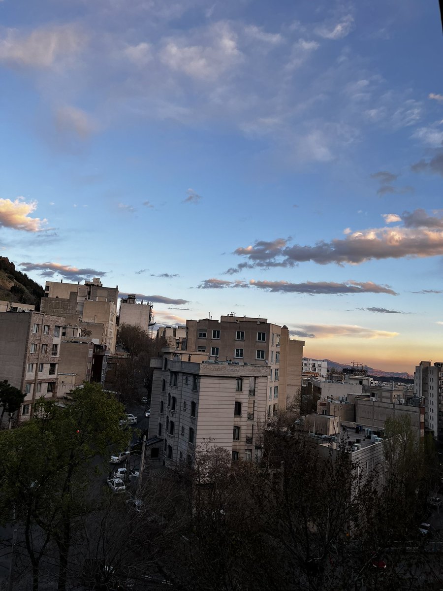 medisa🌙 tweet media