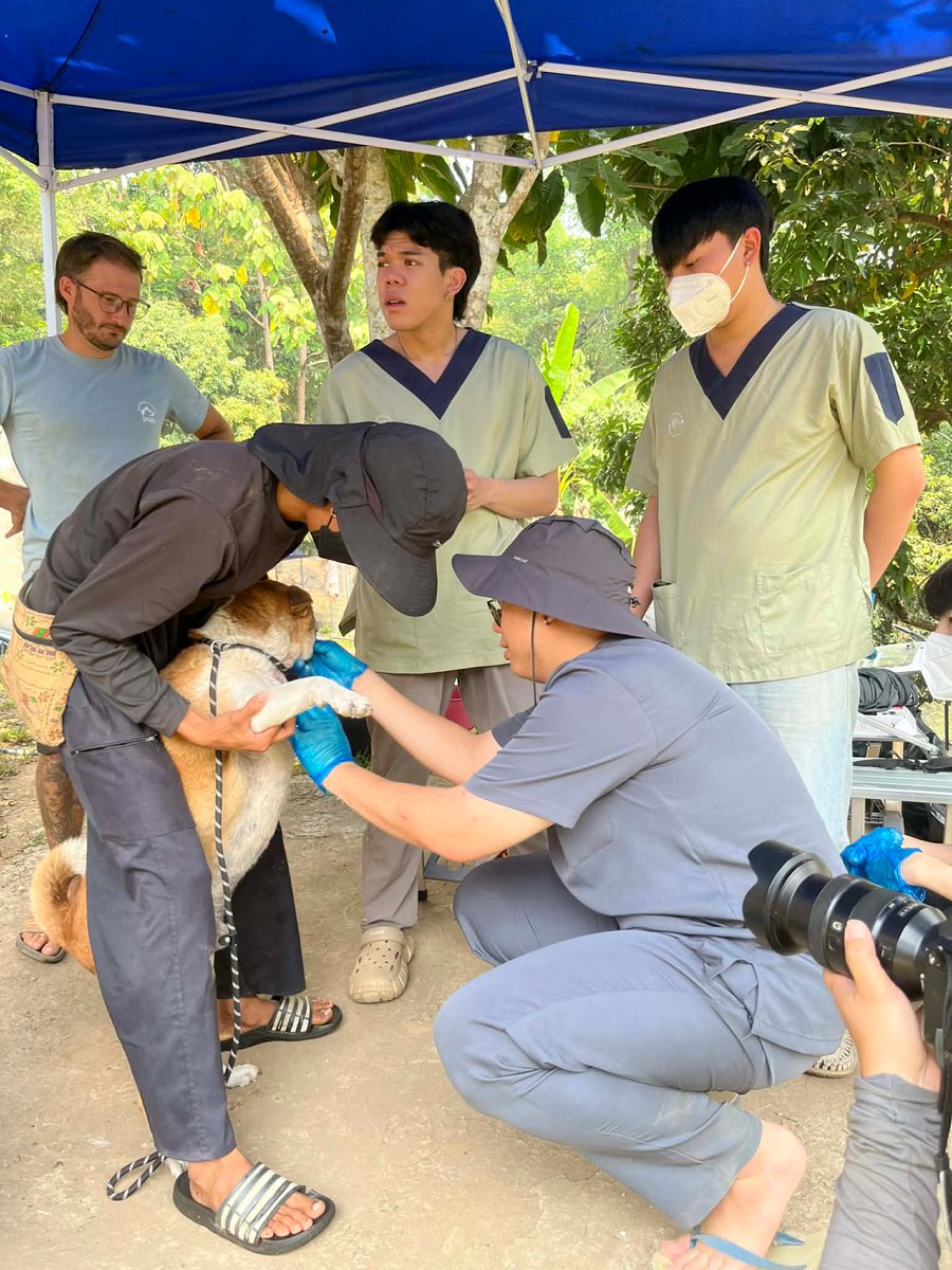 The Sound Of Animals tweet media