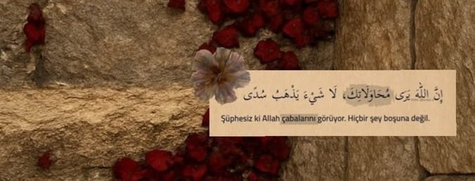 نــورحــيــات 🍉 tweet media