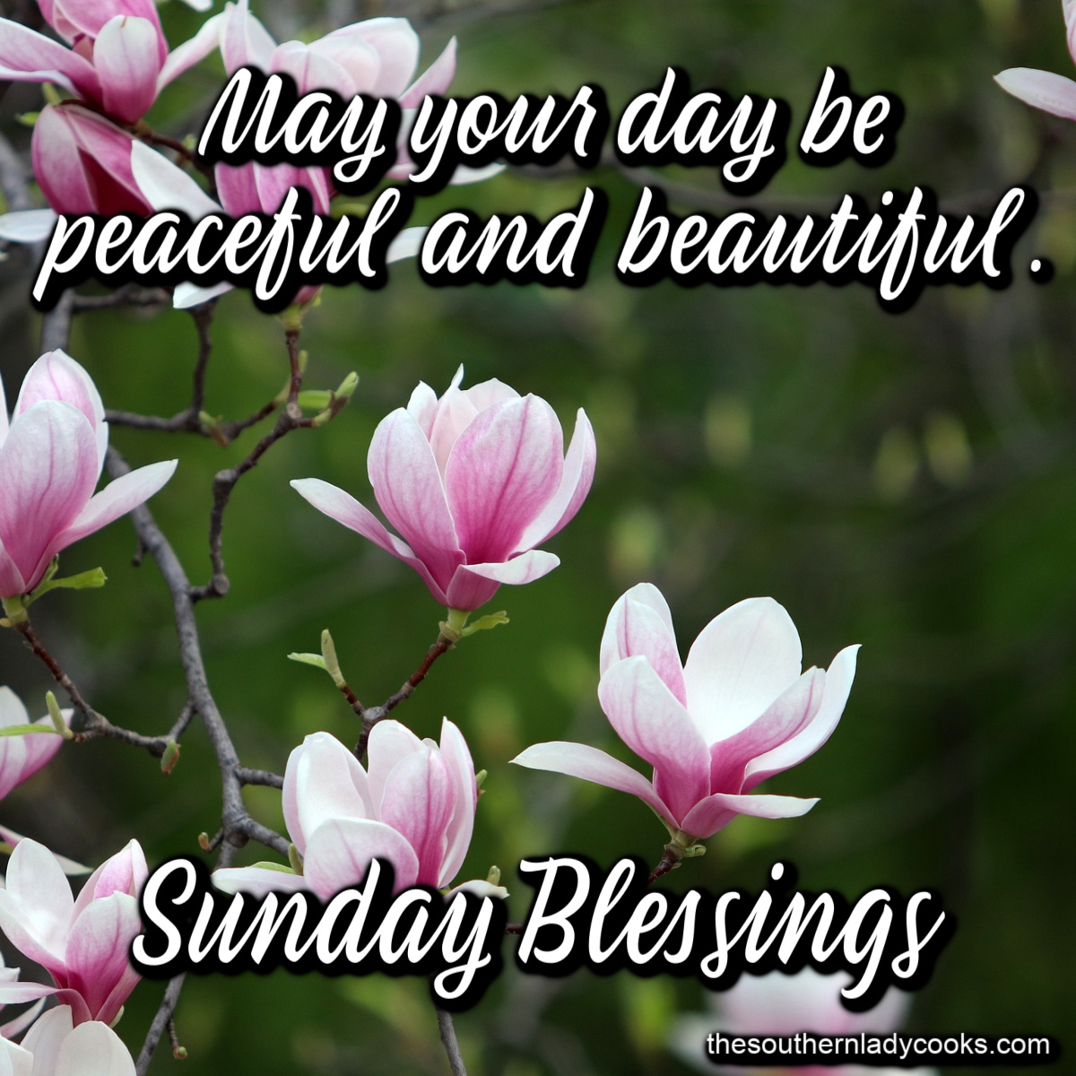 The Southern Lady Cooks tweet media