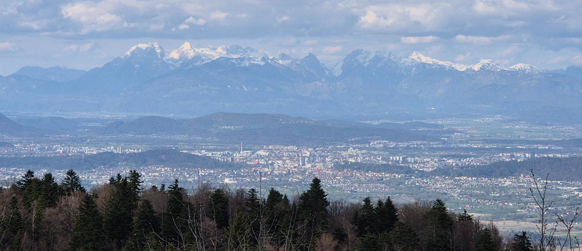 Janko Metelko tweet media