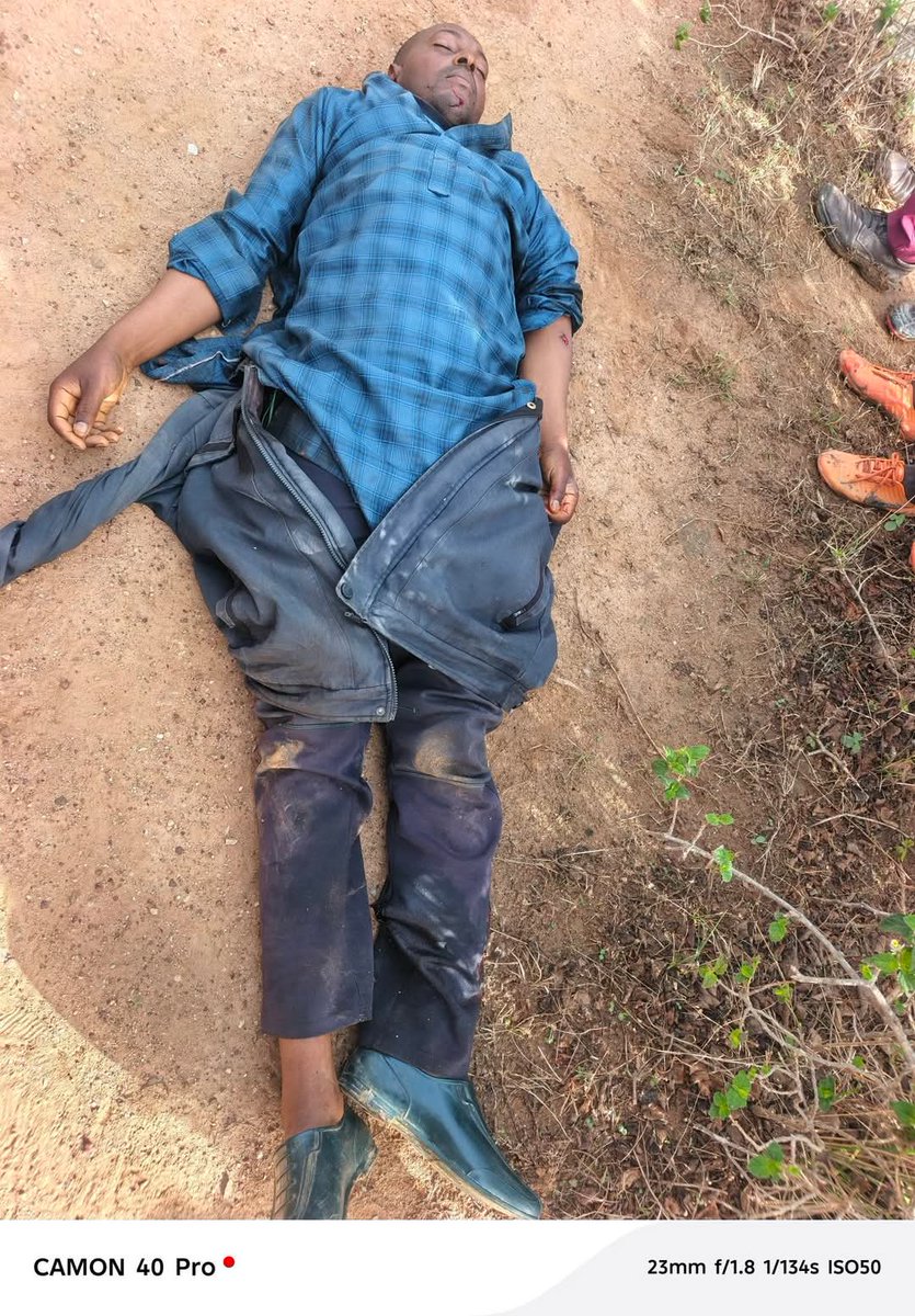 NorthernFacts_ tweet media