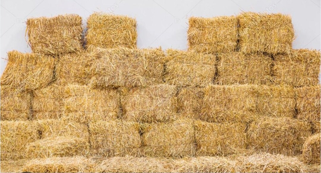 @yle_castro tweet media