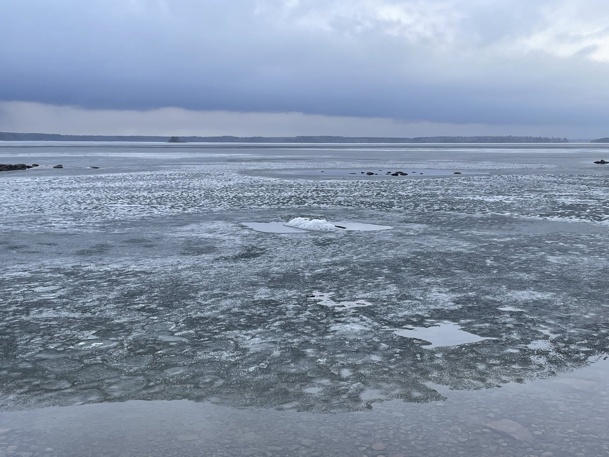 Heidi Gustafsson tweet media