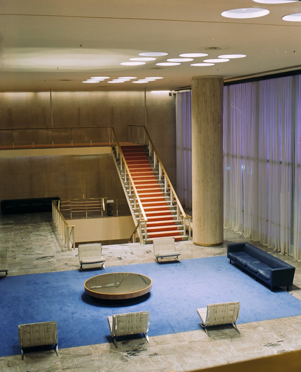 suffer rosa tweet media