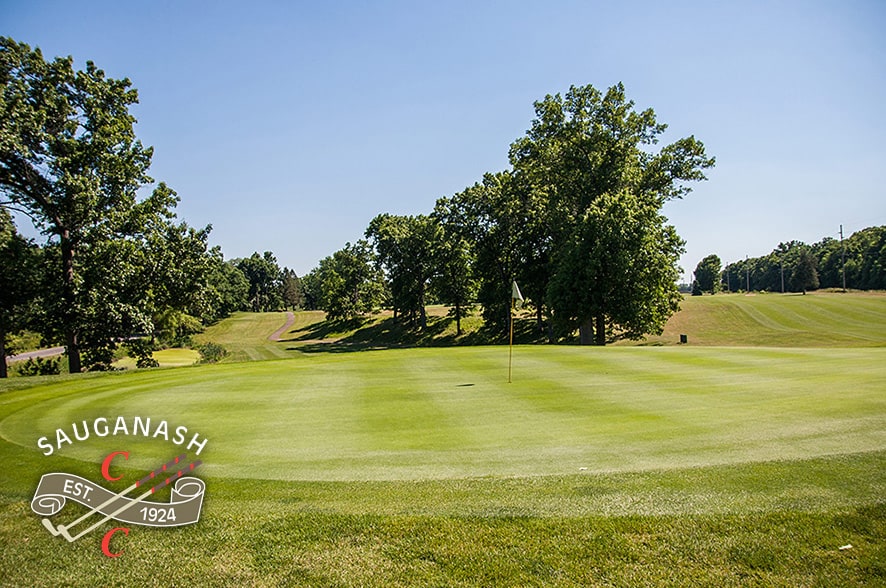 GroupGolfer Michigan tweet media