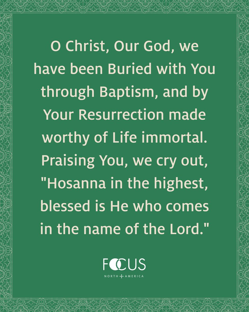 FOCUS North America tweet media