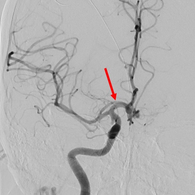 SNIS Info tweet media