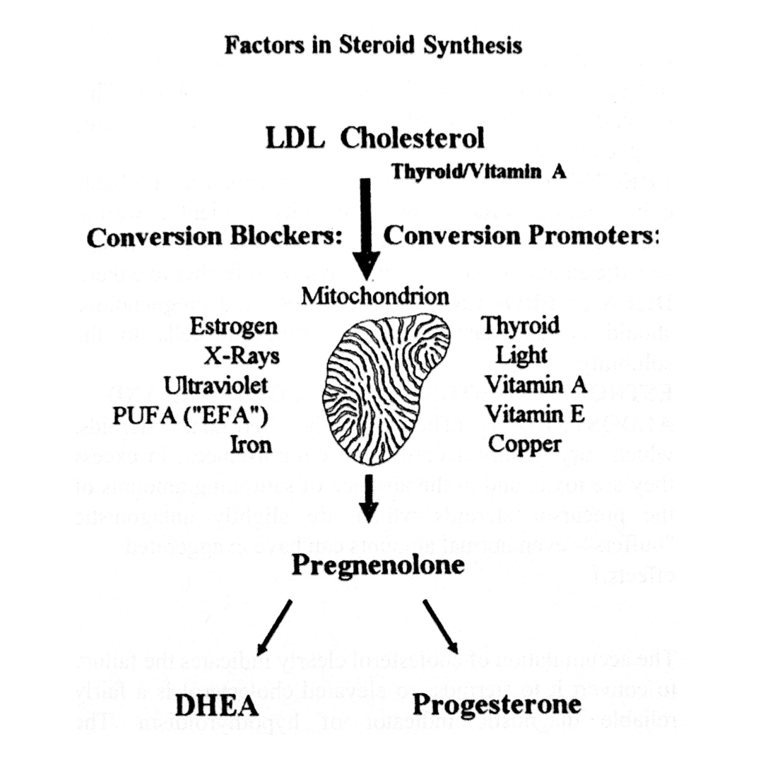 Taking pregnenolone activates emotional regulation circuits in the ...