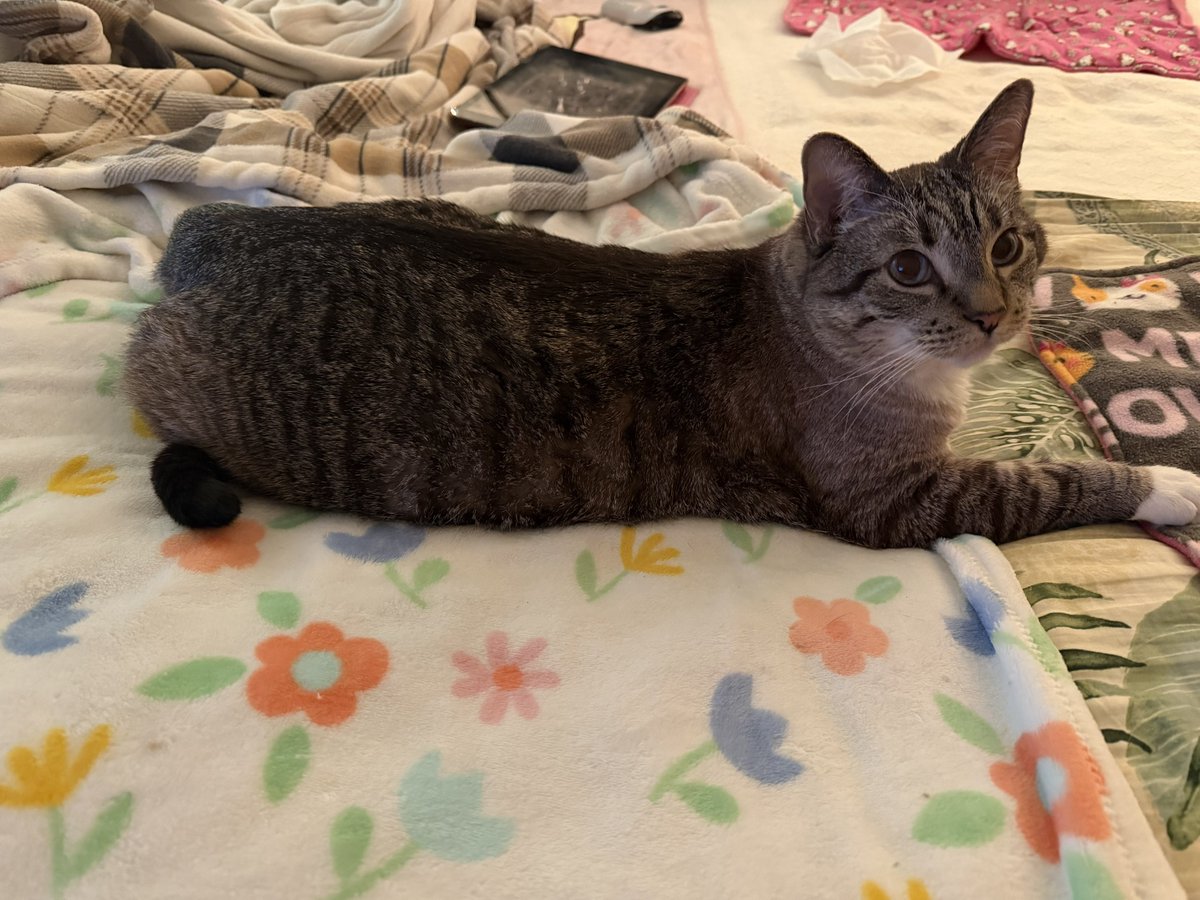 🐛🌷Dean🦋🪴 tweet media